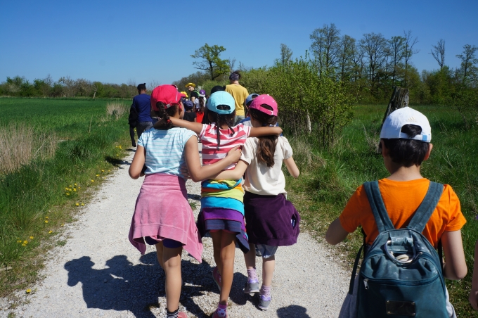 Camps été 2017 avec les centres de la Facel